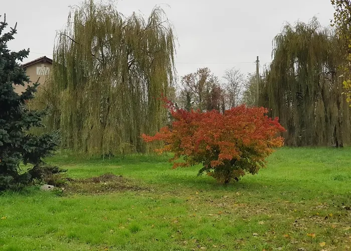 Az.Agr.Cascina Moretta