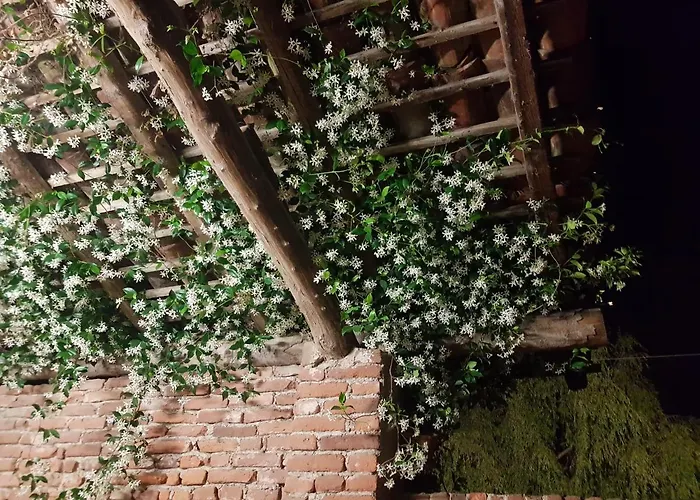Az.Agr.Cascina Moretta