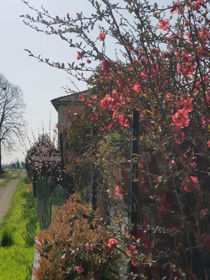 Farm stay Az.agr.cascina Moretta Momo