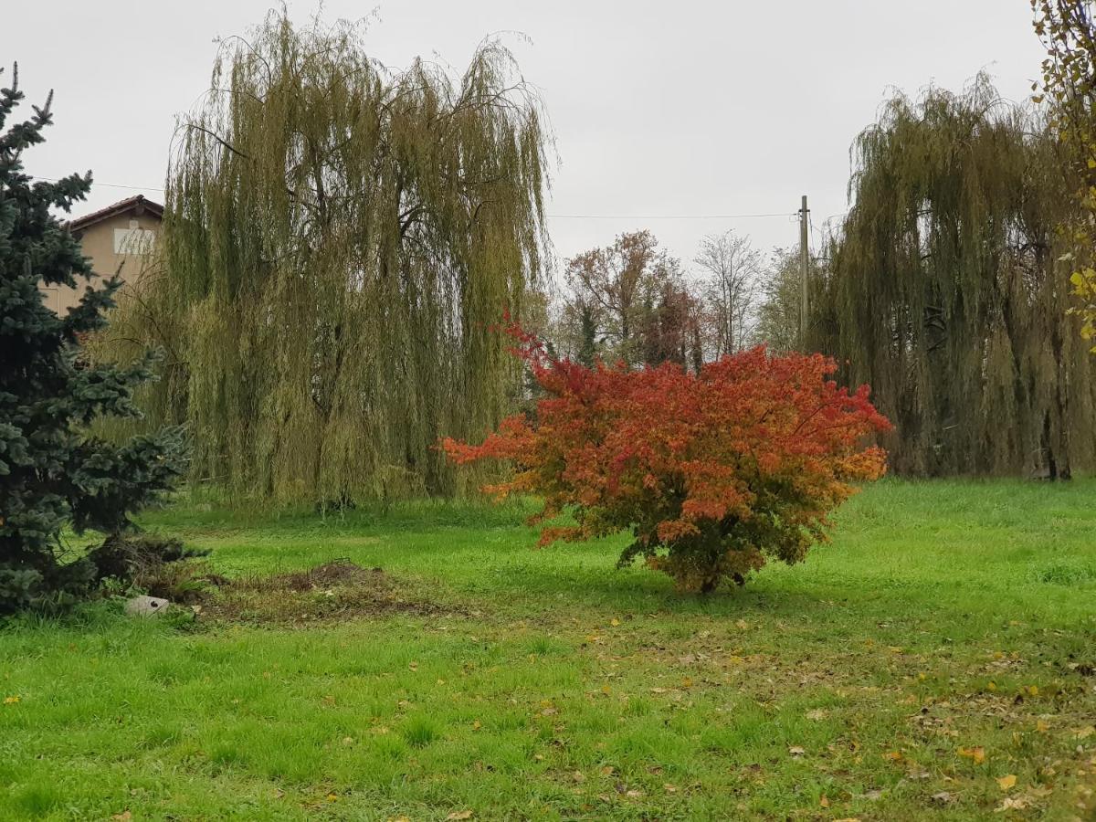 Az.agr.cascina Moretta *
