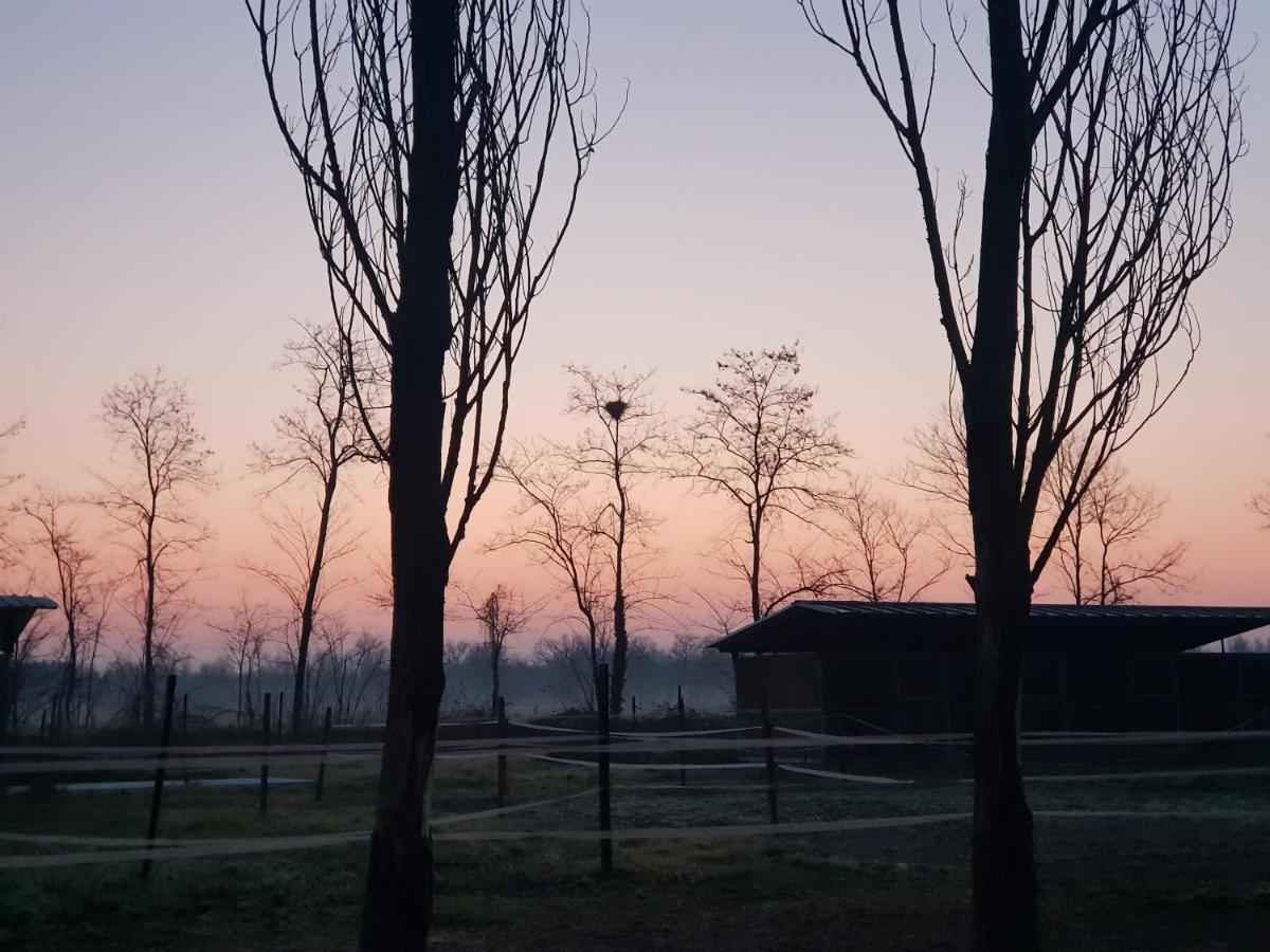 Az.agr.cascina Moretta Farm stay Momo