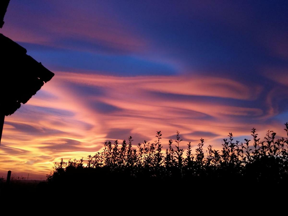 Az.agr.cascina Moretta Farm stay