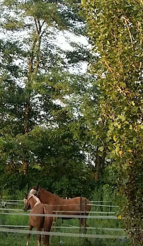 Az.agr.cascina Moretta Farm stay Momo