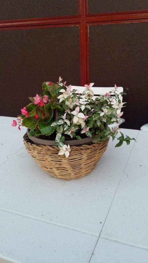 Farm stay Az.agr.cascina Moretta