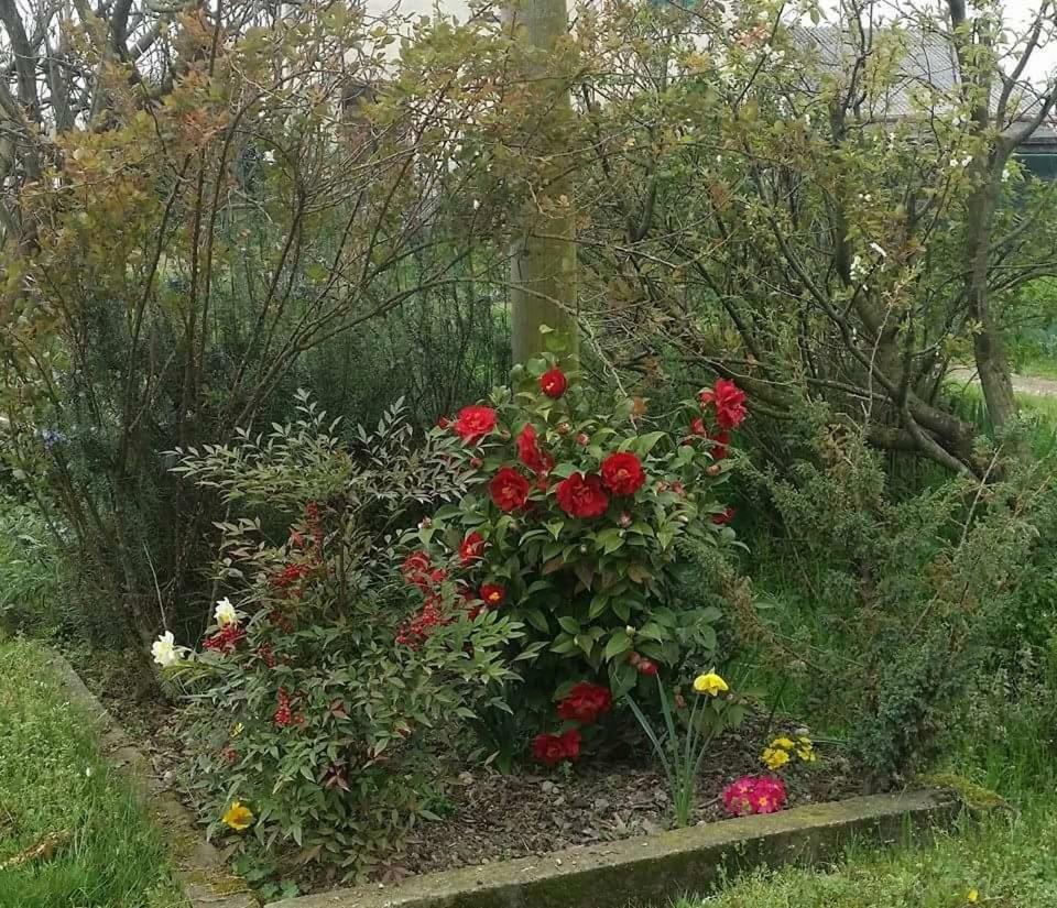 Farm stay Az.agr.cascina Moretta