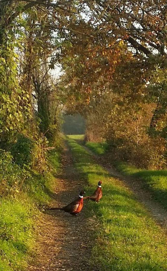 Az.agr.cascina Moretta Farm stay *