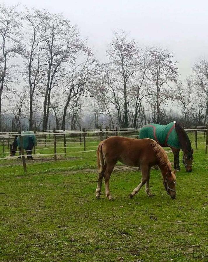 Farm stay Az.agr.cascina Moretta *