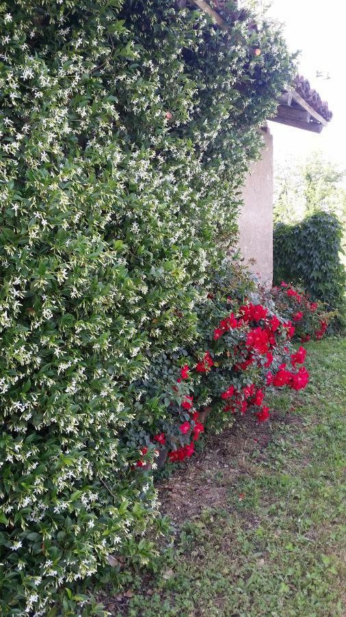 Farm stay Az.agr.cascina Moretta *