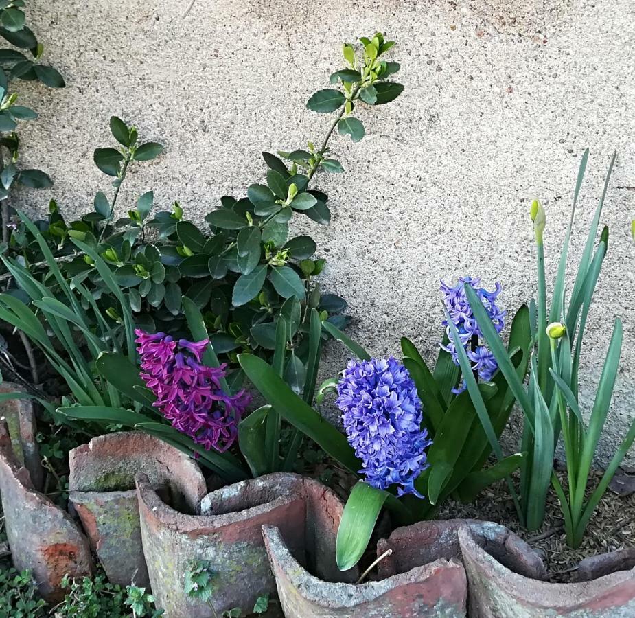 Farm stay Az.agr.cascina Moretta Momo
