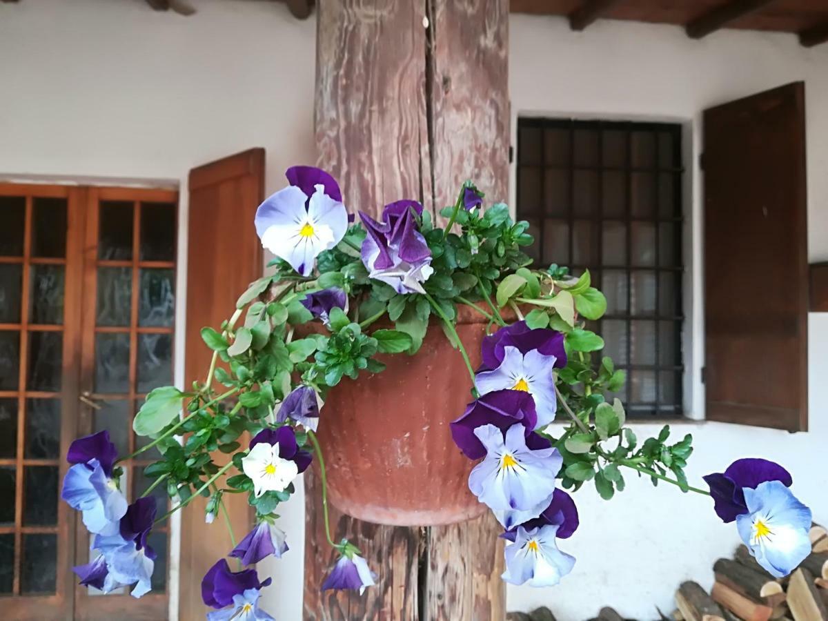 Farm stay Az.agr.cascina Moretta *