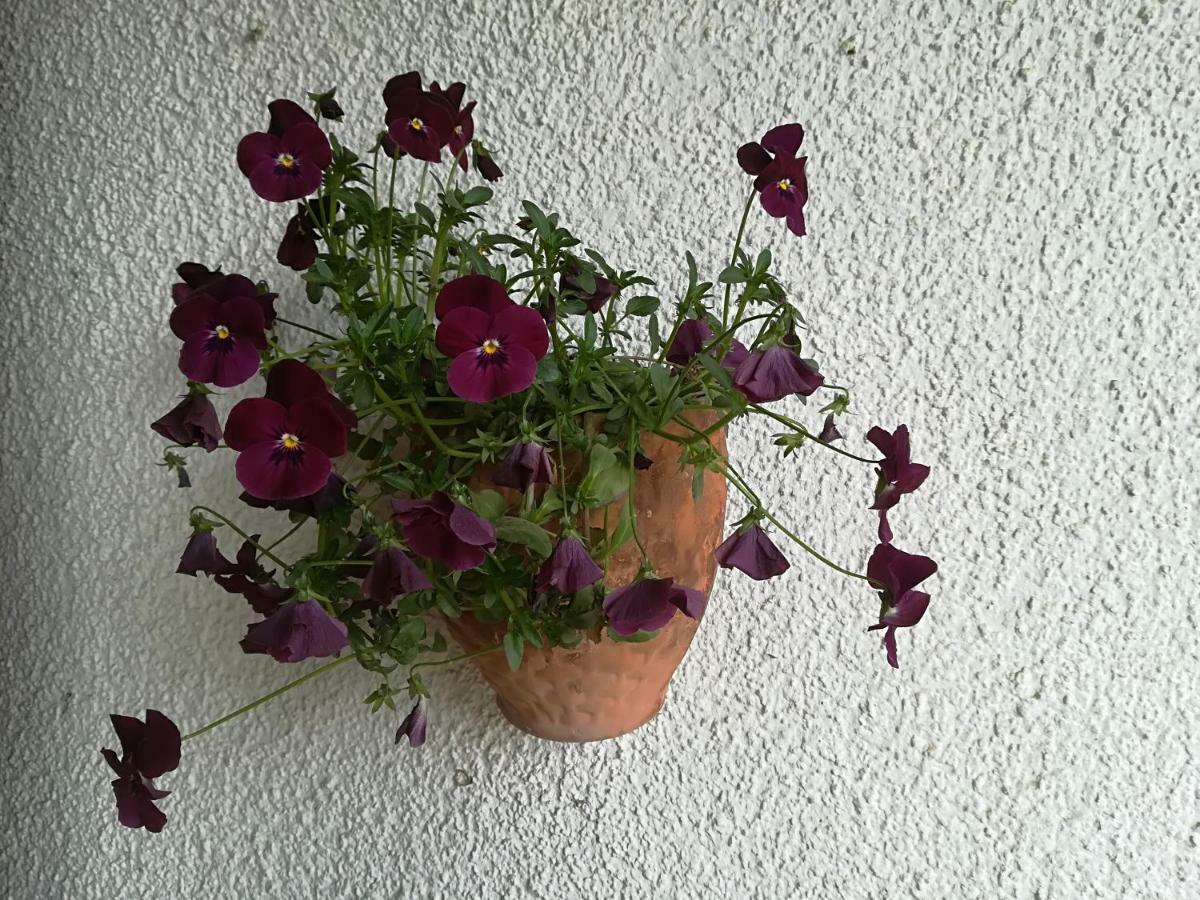 Farm stay Az.agr.cascina Moretta *