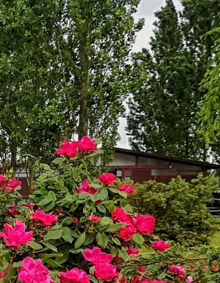 Az.agr.cascina Moretta *