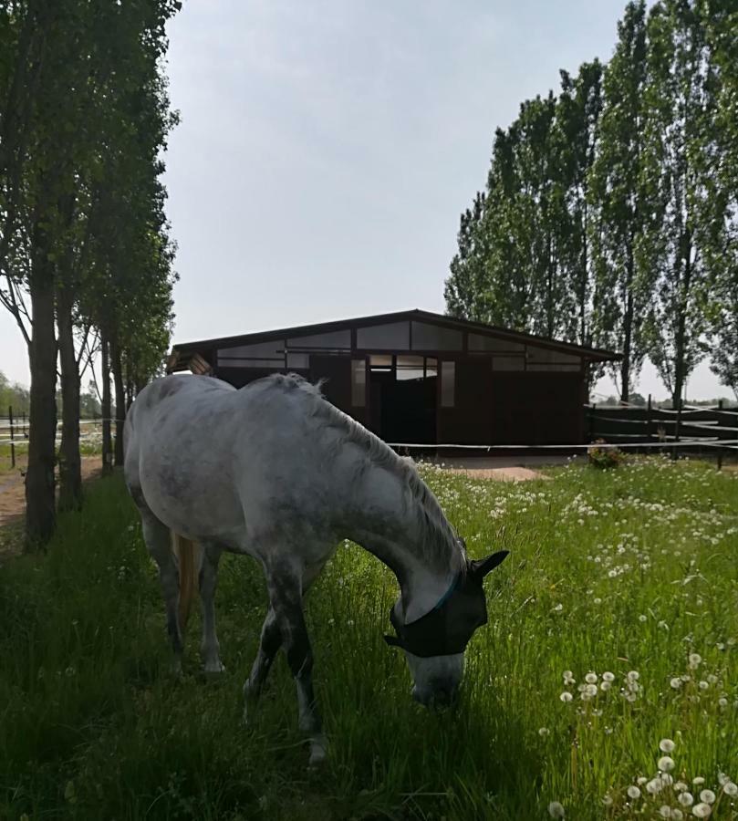 Az.agr.cascina Moretta Farm stay Momo